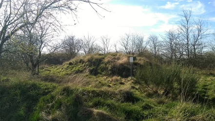Grabhügel (Symbolbild) Grasbewachsener Grabhügel zwischen kahlen Bäumen