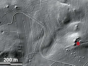 Grabhügel im Gaushorner Wald