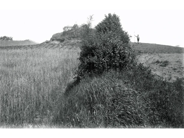 Grabhügel auf den Heilohkoppeln