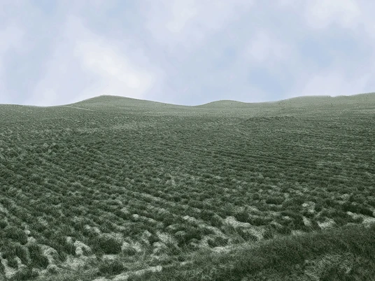 Dithmarscher Schweiz