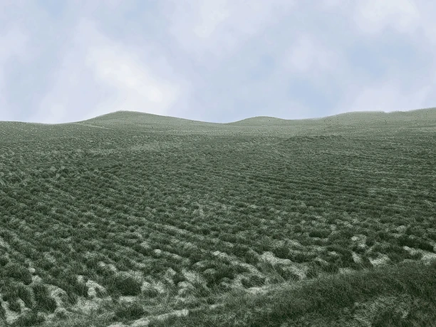 Dithmarscher Schweiz