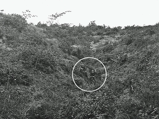 Dithmarscher Schweiz