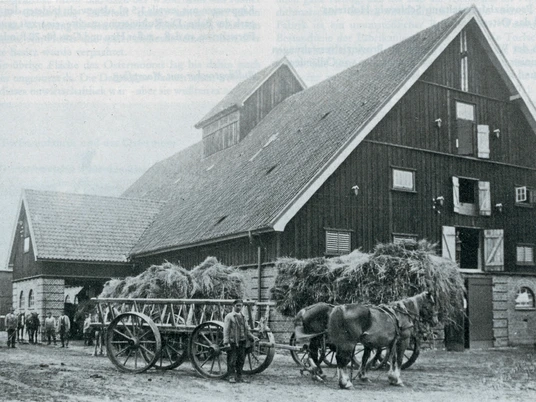 Moorgut Dellstedt früher