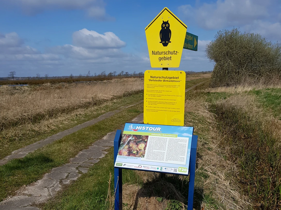 Dellstedter Birkwildmoor