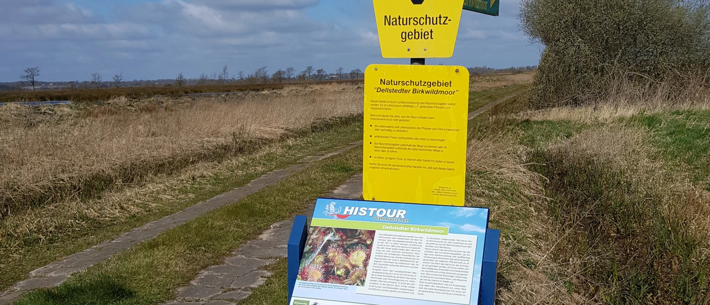 Dellstedter Birkwildmoor