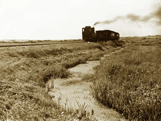 Moore um die Tielenau