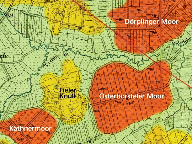 Moore um die Tielenau