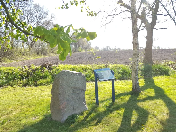 Sühnestein Schalkholz