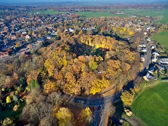 Bökelnburg, Burg/Dithmarschen Baumbestandener Ringwallhügel inmitten Burgs