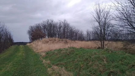 Grabhügelfeld Hopen