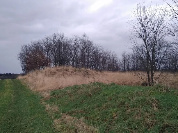 Grabhügelfeld Hopen