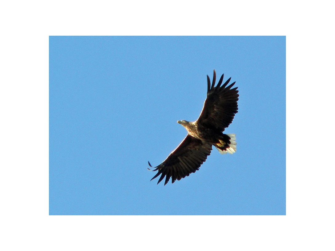 Naturschutzgebiet Kudensee