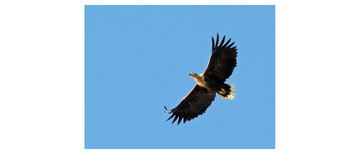 Naturschutzgebiet Kudensee