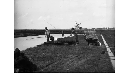 Eggstedter Moor