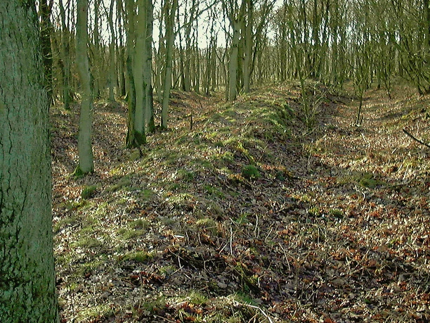 Wegfächer der Lübschen Trade bei Bargenstedt
