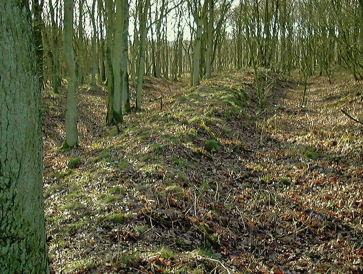 Wegfächer der Lübschen Trade bei Bargenstedt