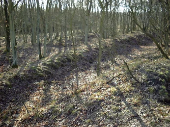 Wegfächer der Lübschen Trade bei Bargenstedt