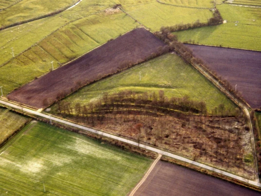 Wegfächer der Lübschen Trade