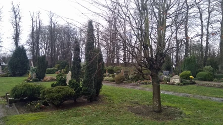 Nordfriedhof Heide