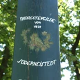 Vogelstangenplatz