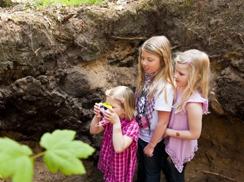 np-moor_fullener-wald_11_schoening_komprimiert