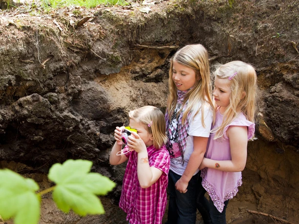 np-moor_fullener-wald_11_schoening_komprimiert Drei Kinder erkunden am Waldrand ein Bodenprofil, eines hält neugierig eine bunte Kamera hoch.