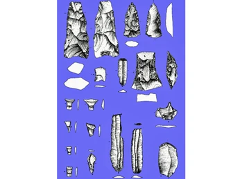 Broklandsau bei Dammbrück