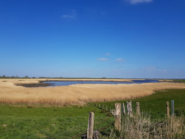 Eidervorland Nordfeld