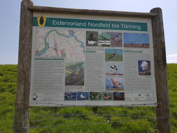 Eidervorland