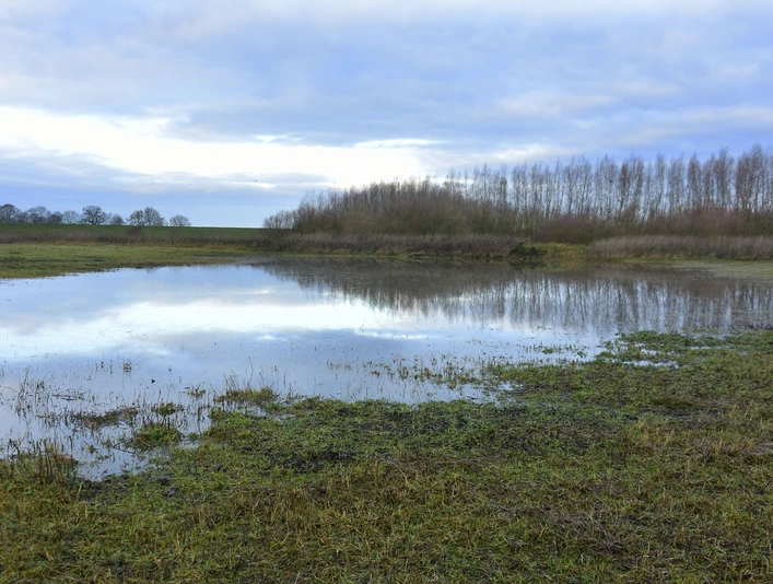 Emsaue Rhede Moor Weite Moorlandschaft mit flachem Wasser, spärlicher Vegetation und kahlen Bäumen unter grauem Himmel.