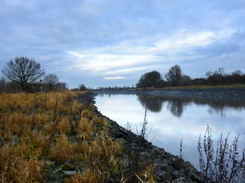 Emsaue Rhede Moor Ruhige Flusslandschaft mit kahlen Bäumen, graublauem Himmel und gelbbraunem Uferbewuchs im Moor.