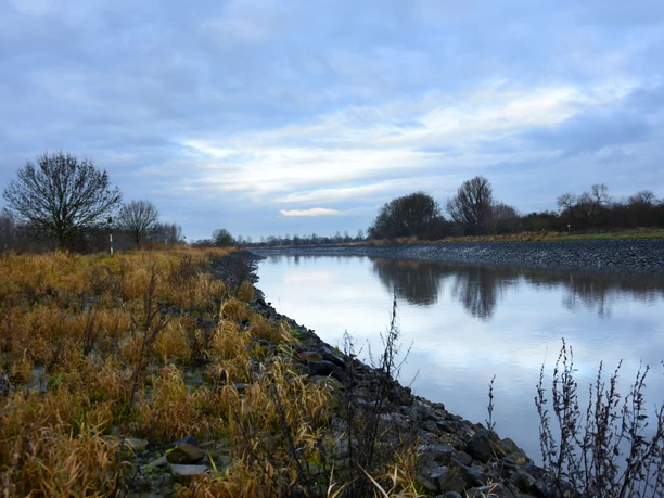Emsaue Rhede Moor Ruhige Flusslandschaft mit kahlen Bäumen, graublauem Himmel und gelbbraunem Uferbewuchs im Moor.