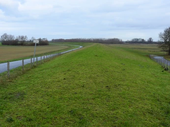 Emsaue Rhede Deich Grüner Deich mit Wegen und Feldern beiderseits unter grauem Himmel in der Emsaue bei Rhede.