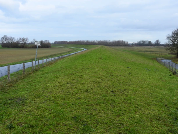 Emsaue Rhede Deich Grüner Deich mit Wegen und Feldern beiderseits unter grauem Himmel in der Emsaue bei Rhede.