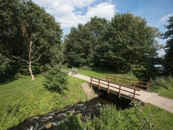 Naturschutzgebiet Borkener Paradies mit Aussichtspunkt Holzbrücke über Bachlauf im Naturschutzgebiet Borkener Paradies mit Radfahrern und dichtem Grün.