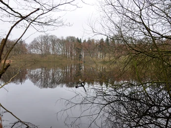 Naturschutzgebiet Lechtegoor