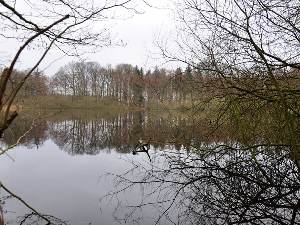 Naturschutzgebiet Lechtegoor Stillgewässer mit kahlen Ästen im Vordergrund und spiegelnder Baumreihe am ruhigen Ufer.