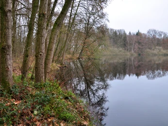 Naturschutzgebiet Lechtegoor