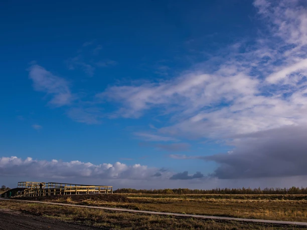 fehndorfer-moor Weitläufige Moorlandschaft mit hölzerner Aussichtsplattform unter blauem Himmel und Wolken.