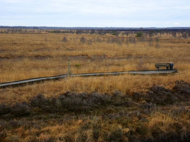 _dsc0964 Holzsteg mit Bank führt durch goldbraune Moorlandschaft im Naturschutzgebiet Esterweger Dose