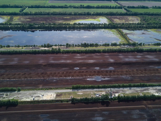 Naturschutzgebiet Rühler Moor Weitläufige Moorlandschaft mit Wasserflächen, Vegetationsstreifen und rekultivierten Torffeldern.