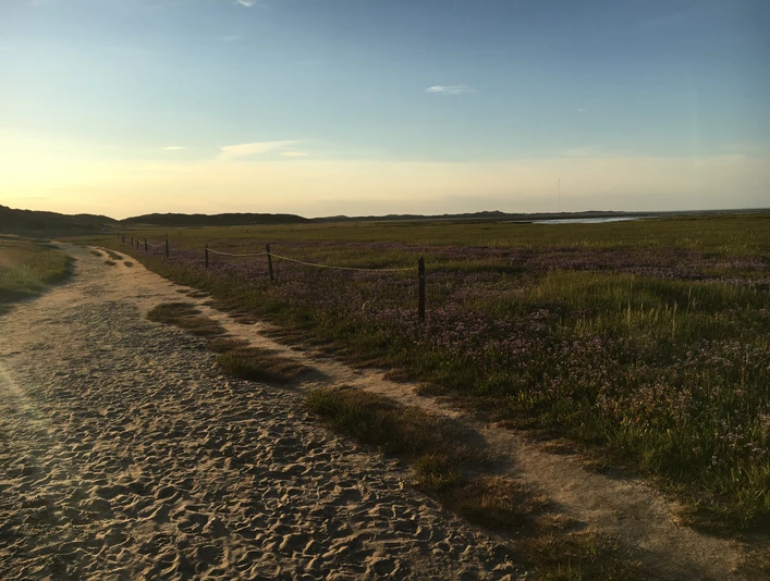 Weg an der Hörnumer Nehrung im Sonennuntergang