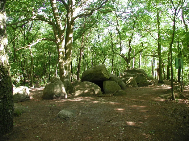 Mehringer Großsteingräber Große Findlinge eines steinzeitlichen Grabes liegen im lichten Wald unter hohen, dicht beblätterten Bäumen.
