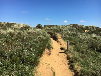 Weg zum Morsum Kliff