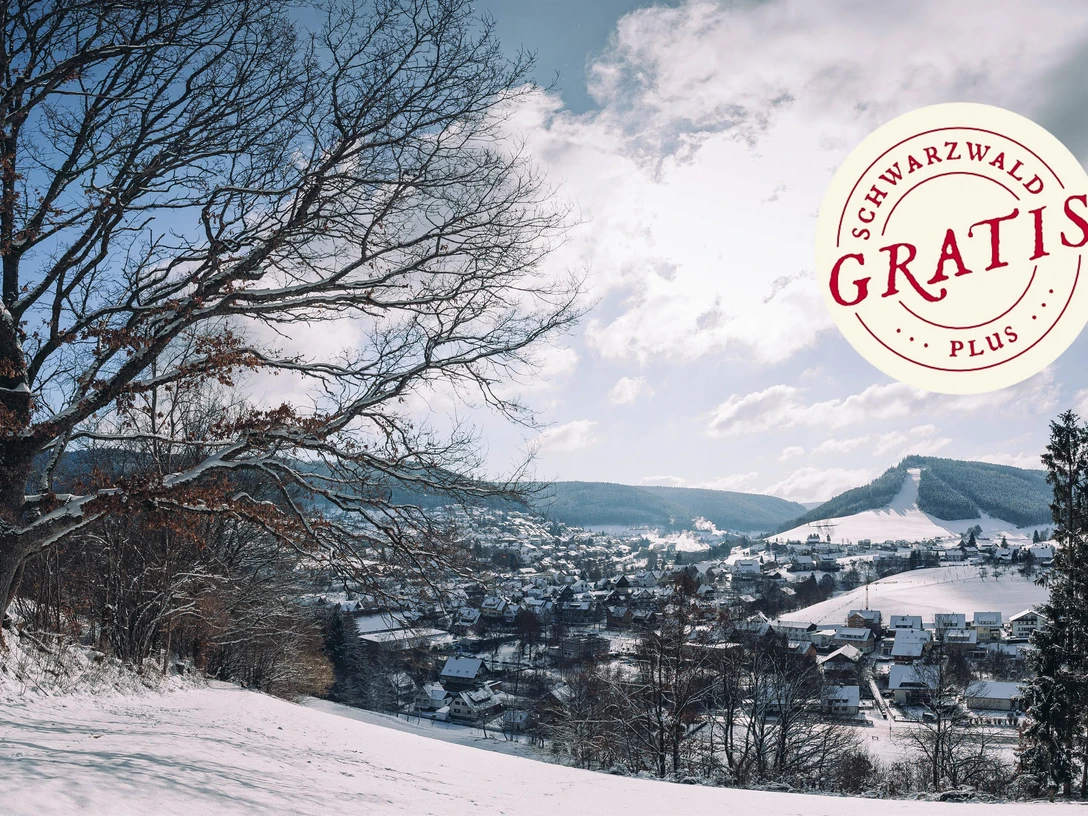 Baiersbronn im Winter