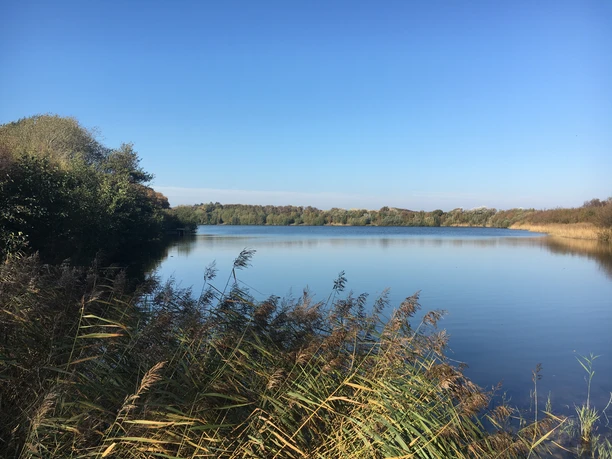 Nössekuhle im Morsum