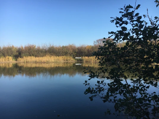 Nössekuhle im Morsum