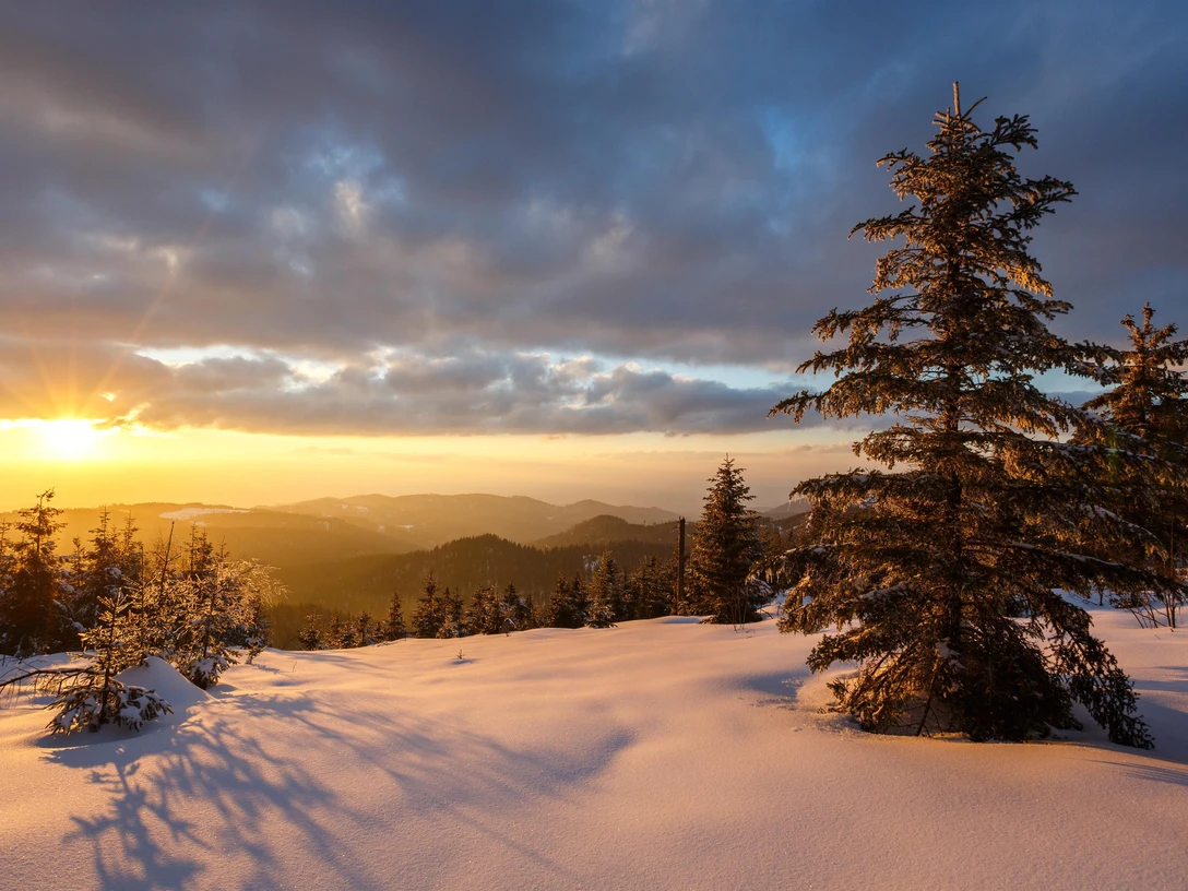 Winter im Nationalpark Schwarzwald