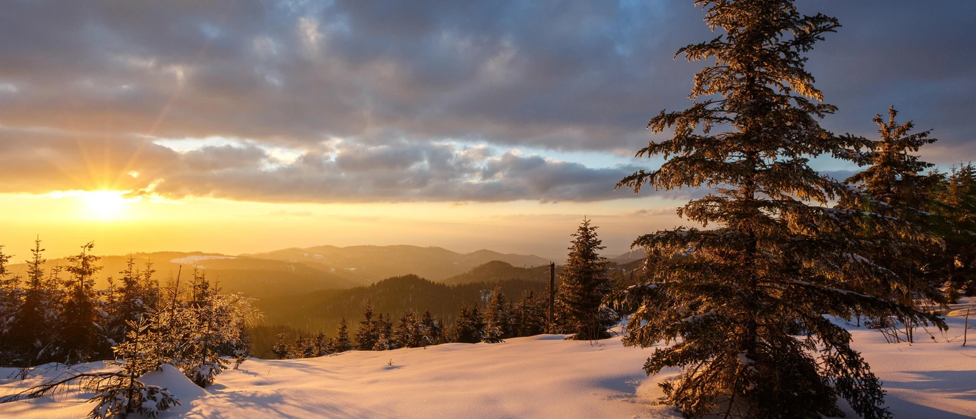 Winter im Nationalpark Schwarzwald