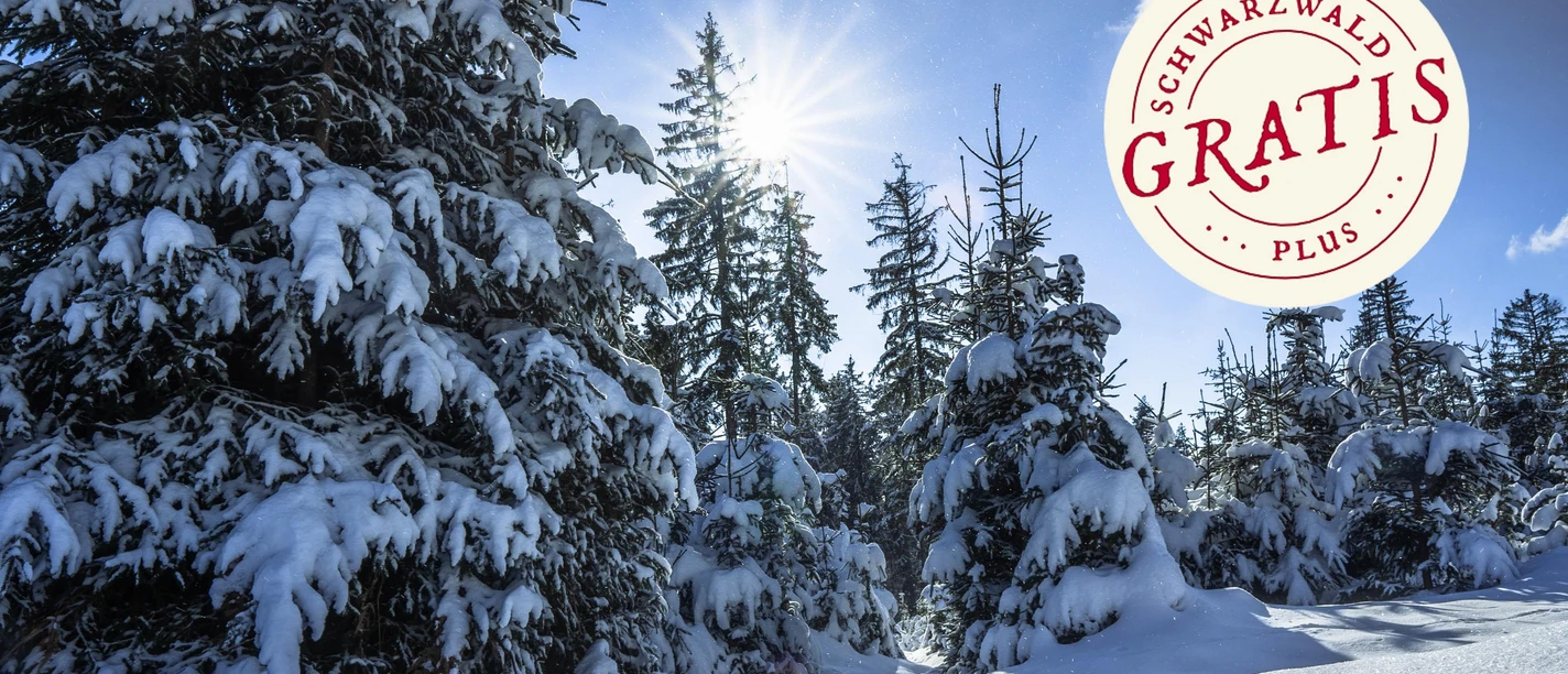 Winterlandschaft